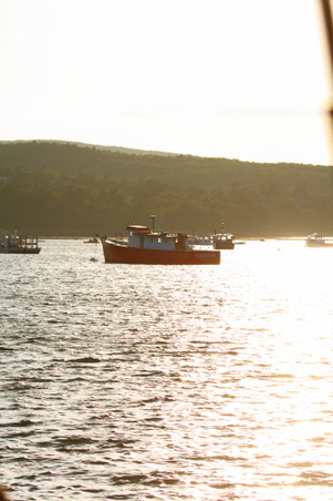 Enlarge photo 54