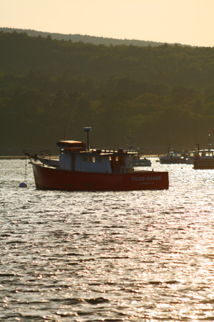 Enlarge photo 55