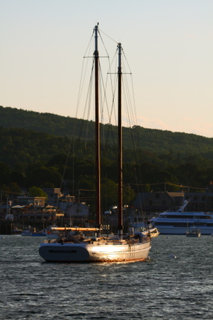 Enlarge photo 59