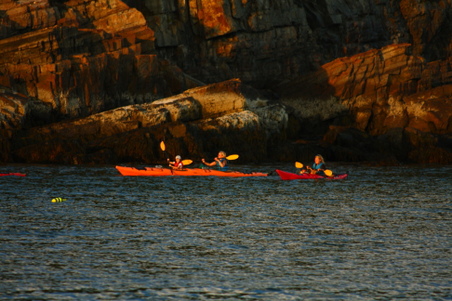 Enlarge photo 62