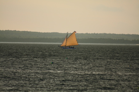 Enlarge photo 65