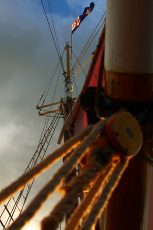 Enlarge photo 71