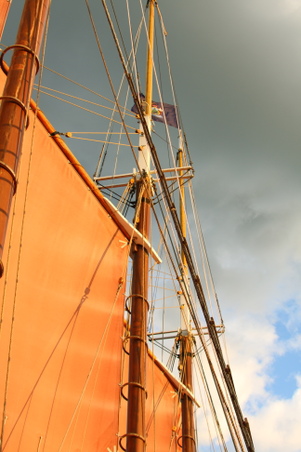 Enlarge photo 73