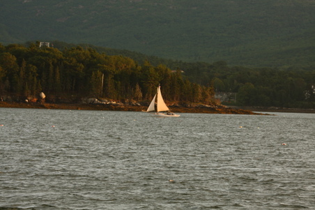 Enlarge photo 75