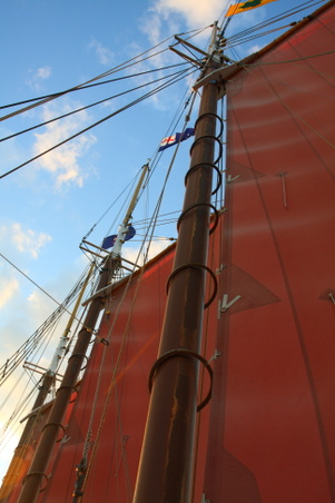 Enlarge photo 86