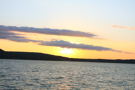 Enlarge photo 94