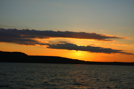 Enlarge photo 96