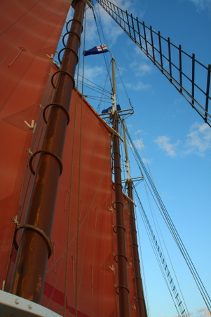 Enlarge photo 98