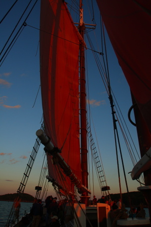 Enlarge photo 105