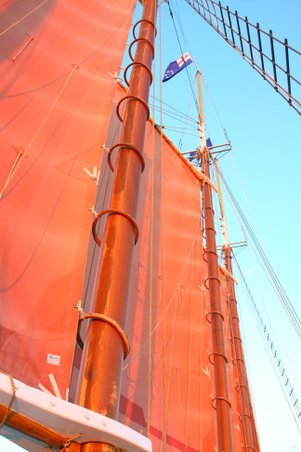 Enlarge photo 107