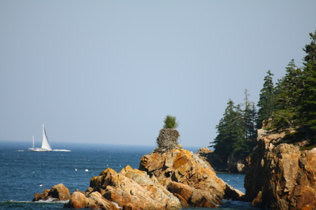 Enlarge photo 109