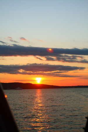 Enlarge photo 113