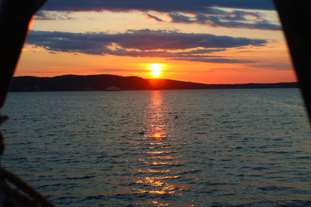 Enlarge photo 114