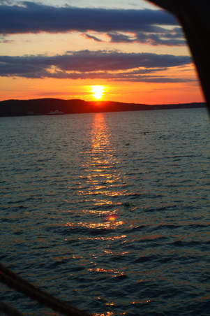 Enlarge photo 115