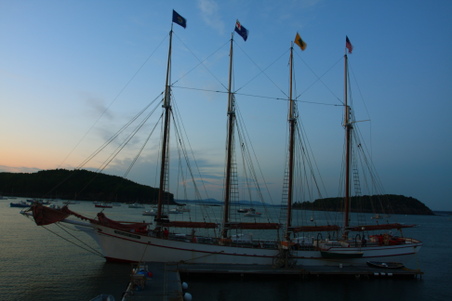 Enlarge photo 135