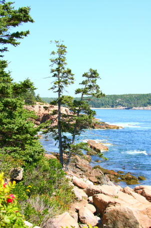 Enlarge photo 152