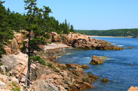 Enlarge photo 154