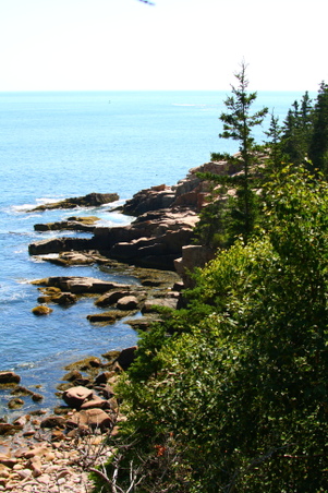 Enlarge photo 157
