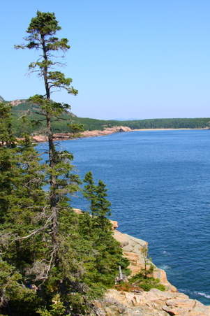 Enlarge photo 159