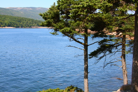 Enlarge photo 166