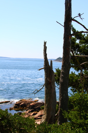 Enlarge photo 167