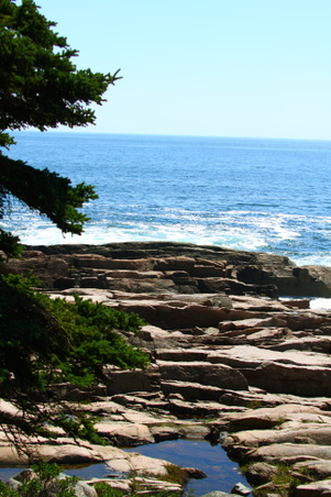 Enlarge photo 168