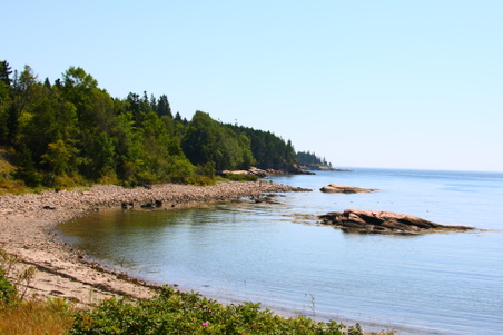 Enlarge photo 169