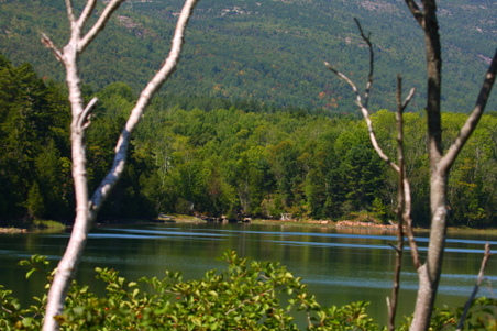 Enlarge photo 170