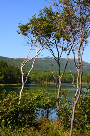Enlarge photo 171