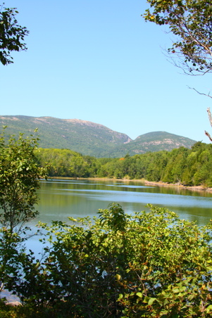Enlarge photo 172