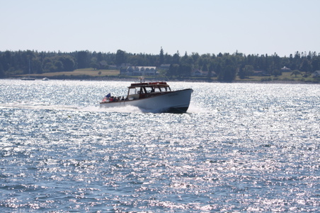 Enlarge photo 173
