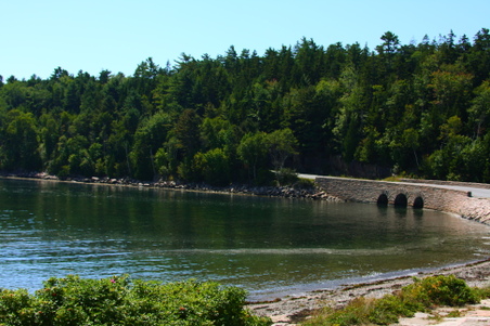 Enlarge photo 174