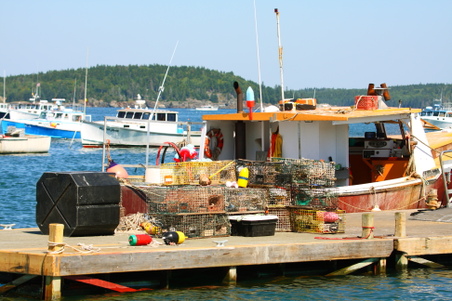 Enlarge photo 180