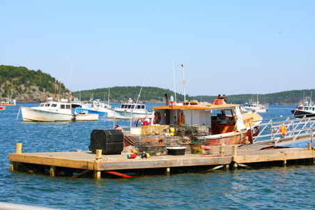 Enlarge photo 181
