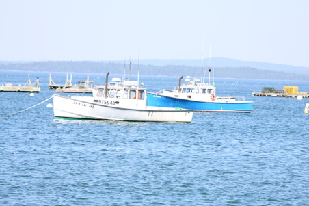 Enlarge photo 183