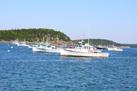 Enlarge photo 186