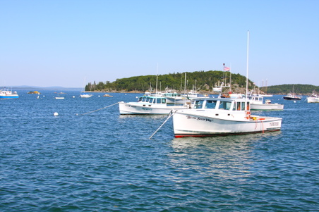 Enlarge photo 187