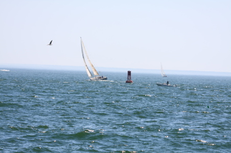 Enlarge photo 202