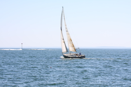Enlarge photo 203