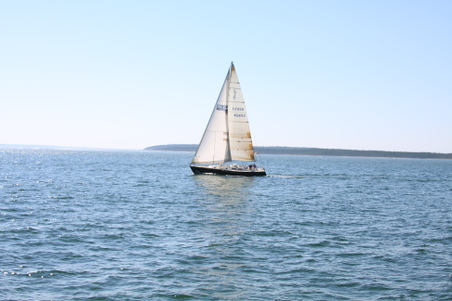 Enlarge photo 204
