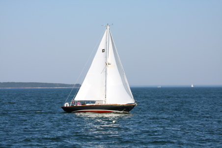 Enlarge photo 205