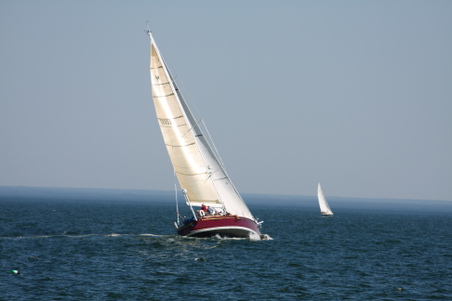 Enlarge photo 206