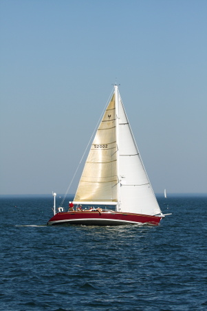 Enlarge photo 207