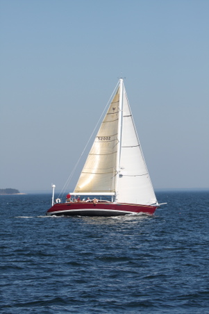 Enlarge photo 208