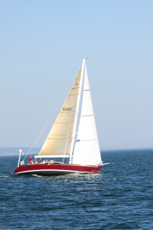 Enlarge photo 209