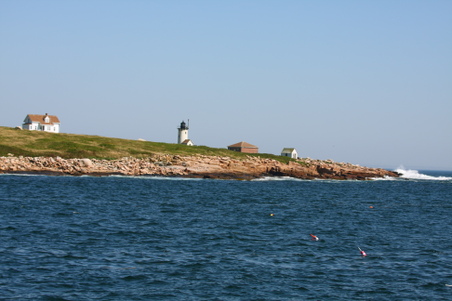 Enlarge photo 210