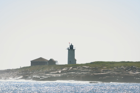 Enlarge photo 214