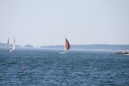 Enlarge photo 215