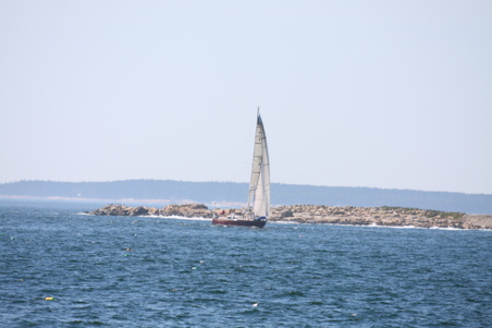 Enlarge photo 216
