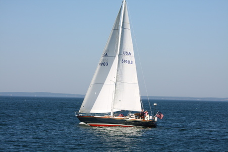 Enlarge photo 217